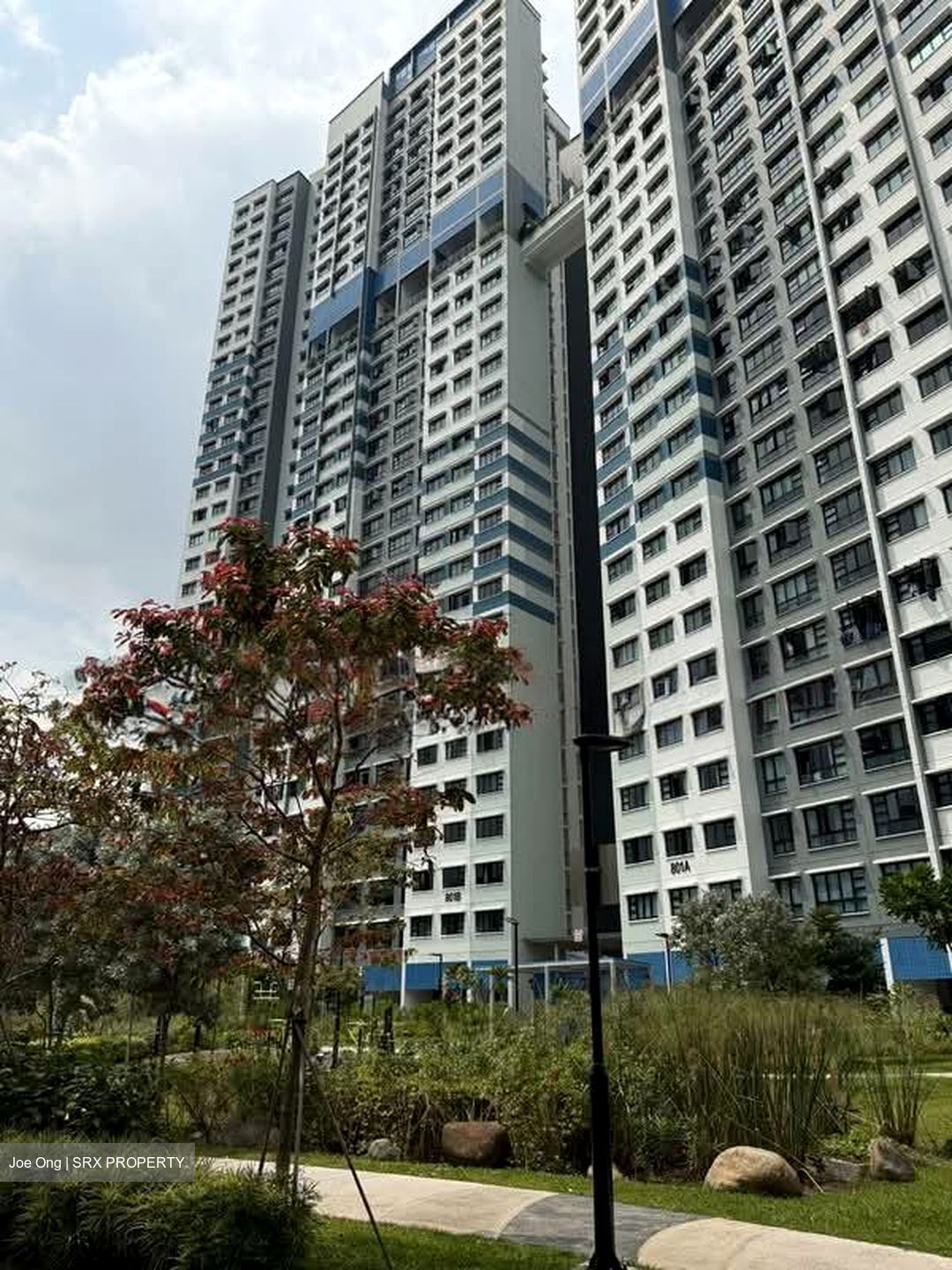 Blk 801B West Coast Parkview (Clementi), HDB 4 Rooms #569684311
